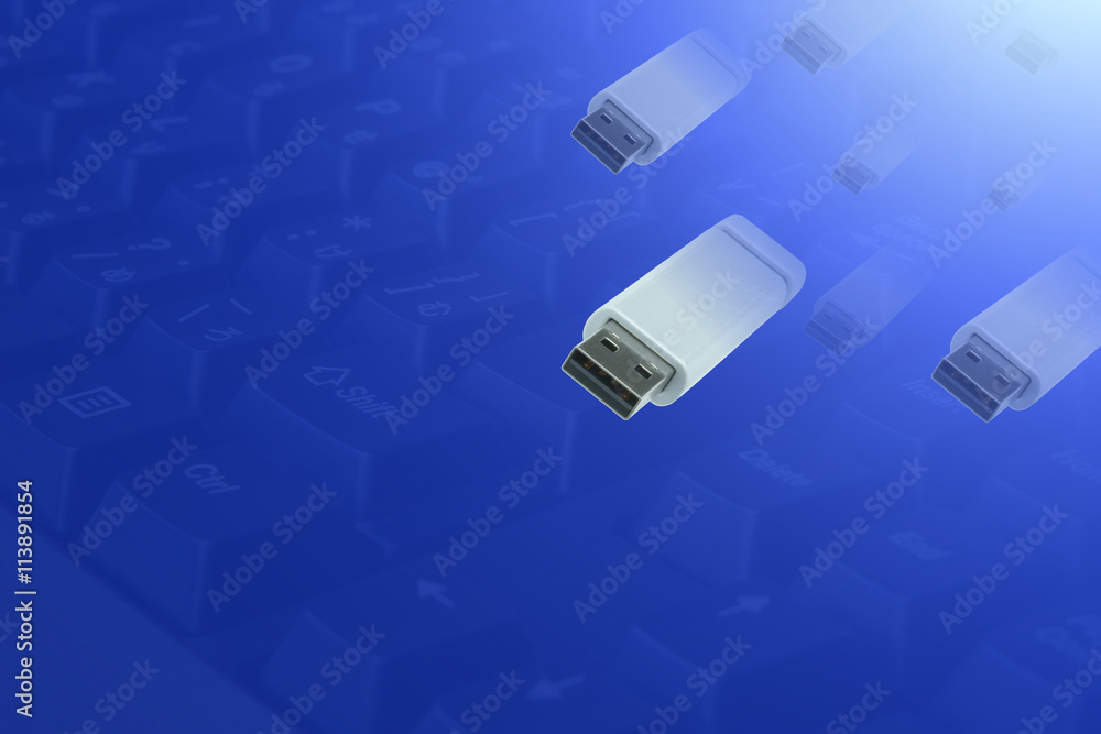 Fototapeta premium USBメモリー