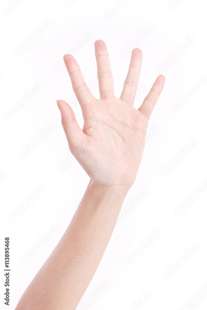 hand palm with five fingers, studio isolated hand palm with five fingers, studio isolated