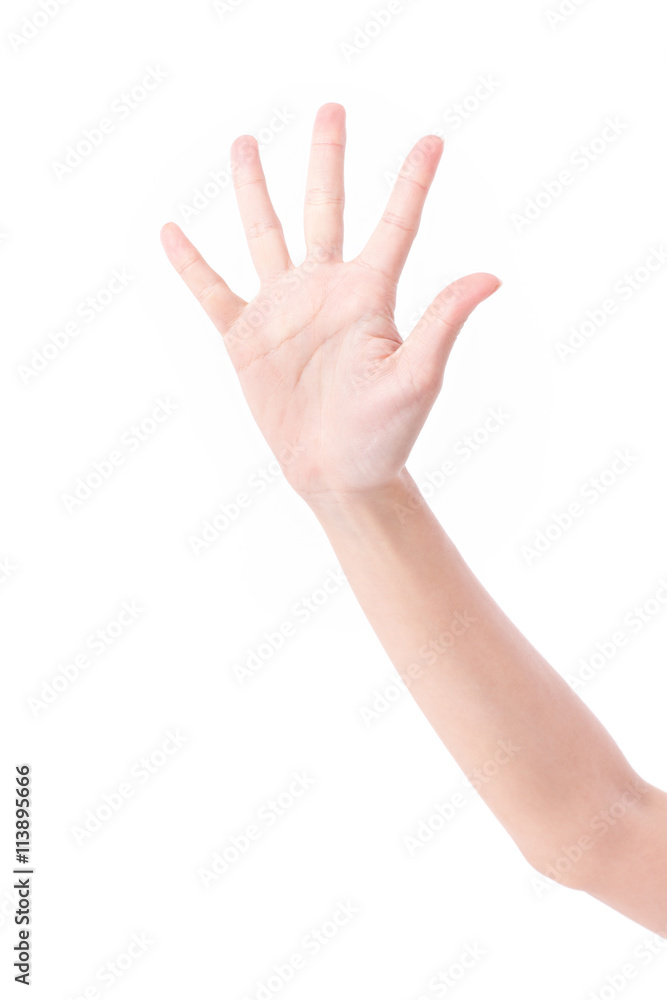 hand palm with five fingers, studio isolated hand palm with five fingers, studio isolated
