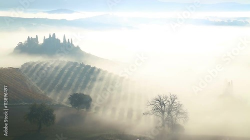 Italy. Tuscany. Early Sunny morning. Thick fog over fields, farmhouses and vineyards.