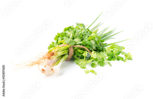  Spring onion and coriander isolated