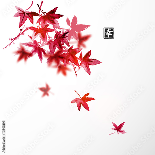 Red Japanese maple leaves on white backrgound
