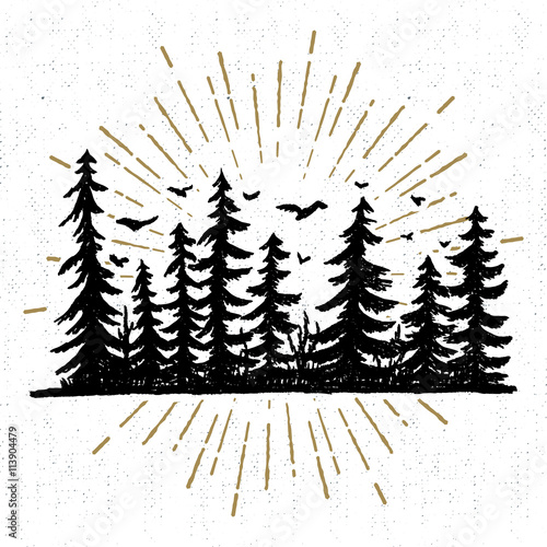 Hand drawn icon with a textured spruce trees vector illustration.