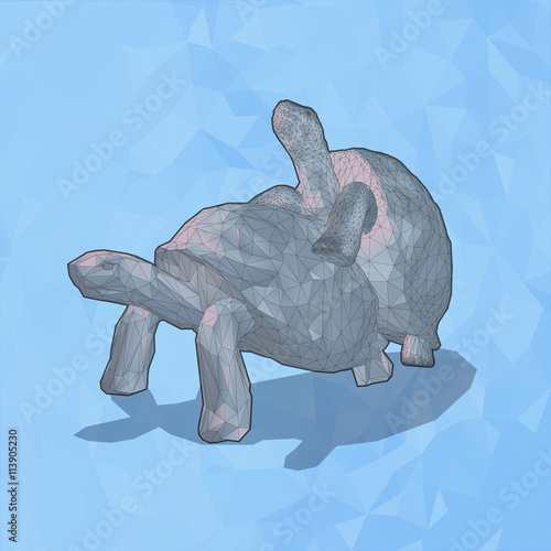 Low poly tortoise breed on blue background