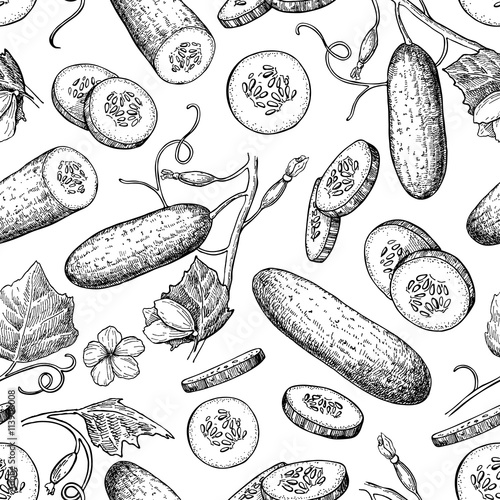 Cucumber hand drawn vector seamless pattern. Isolated vegetable