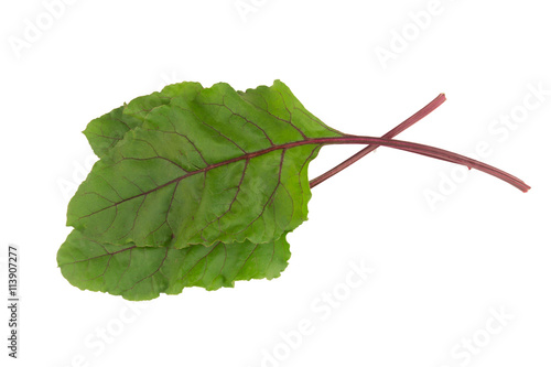 Beetroot greens. A popular salads ingredient. Isolated on a white background.
