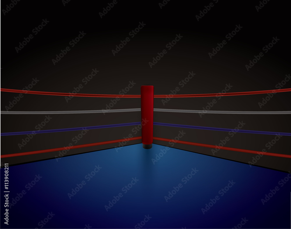 Boxing ring high ring OLYMPIC 7.8x7.8m-AKU_000019_H2
