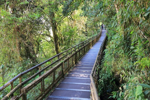 Argentina jungle hike - Iguazu
