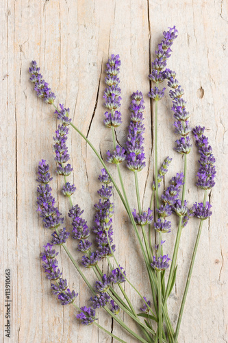 Fototapeta Naklejka Na Ścianę i Meble -  Bunch of lavender flowers
