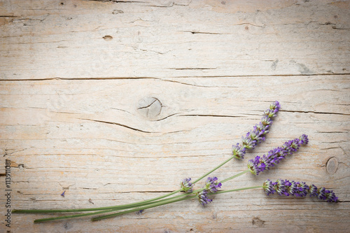 Fototapeta Naklejka Na Ścianę i Meble -  Fresh lavender flowers