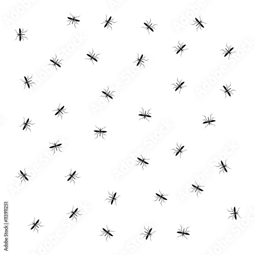 insect pattern