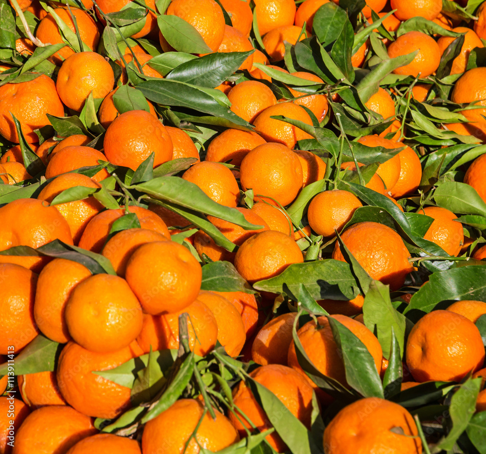 Mandarins, tangerines fruits bunch with leafs in Tanger market, Mandarins, tangerines fruits bunch with leafs in Tanger market,