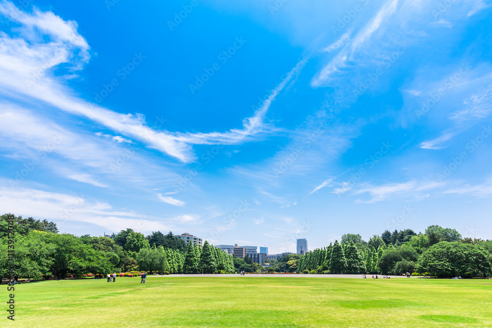 青空と公園の広場