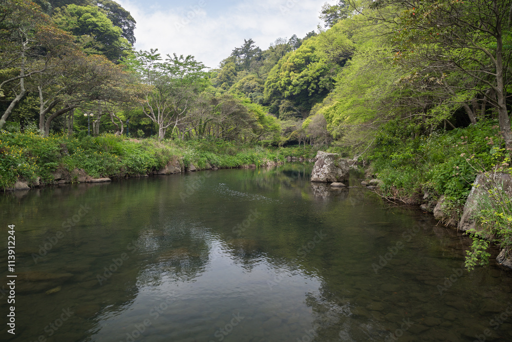 View of Cheonjiyeon River and verdant trees near Cheonjiyeon Falls on Jeju Island in South Korea.