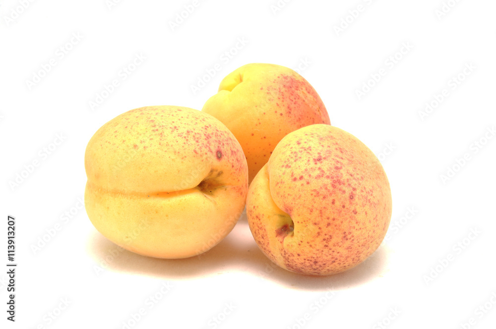 Apricots on a white background close up macro agriculture Apricots on a white background close up macro agriculture