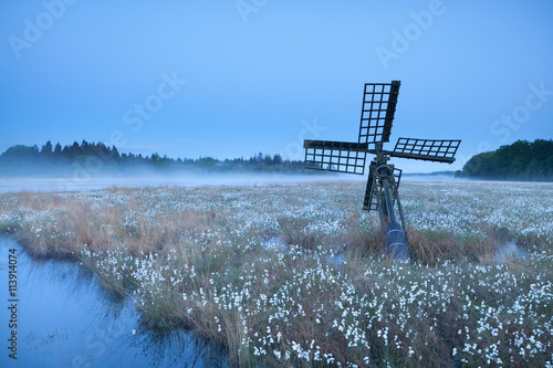 old windmill on swamp with cotton-grass photo