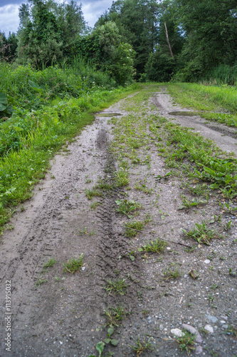 Feldweg nach dem Regen