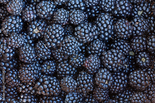 berries blackberries