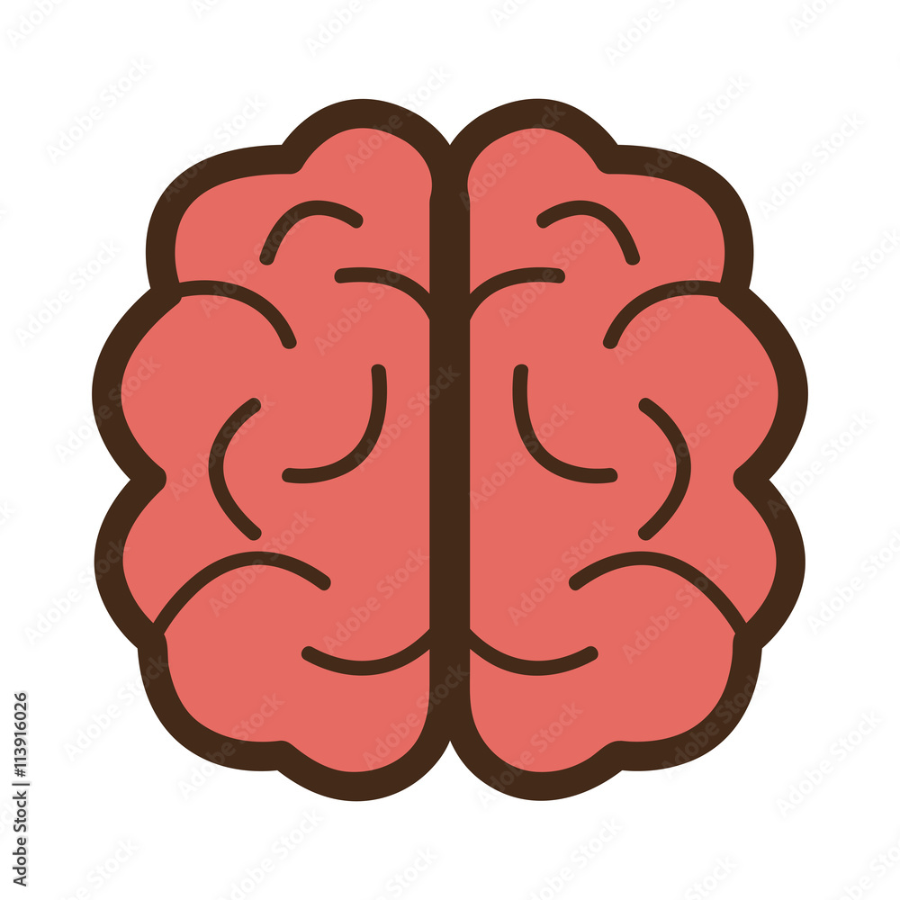 red brain front view,vector graphic red brain front view,vector graphic
