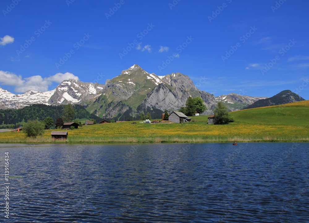 Alpstein range and lake Schwendisee in spring