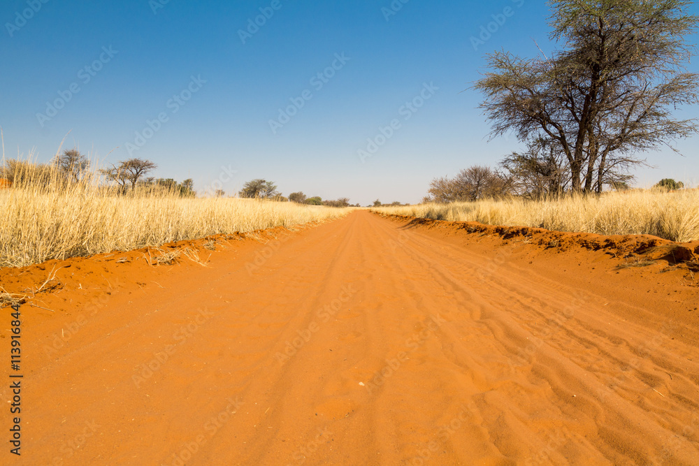 Naklejka premium Sand Road in Namibia, Africa