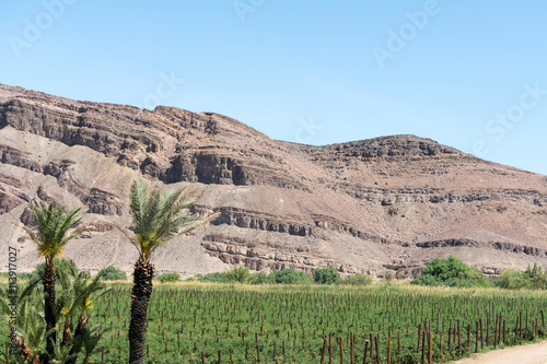 small stripe of agriculture in the desert photo