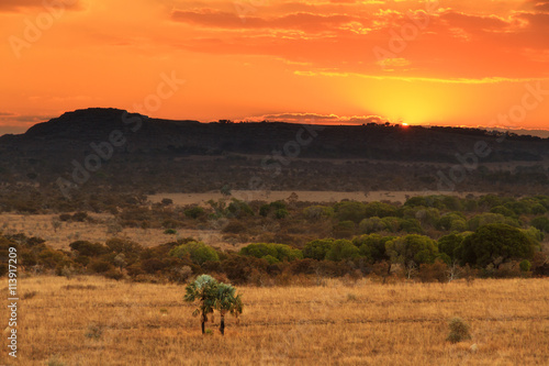 Beautiful afternoon in Isalo national park in Madagascar