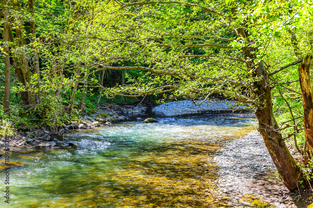 HDR IMAGE river Gradac