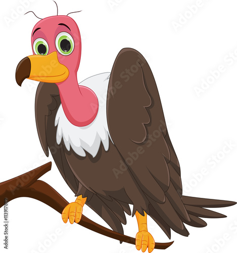 funny cartoon vulture on a tree branch