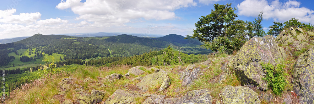 Aussicht vom Hohen Stein im Kanzlersgrund / Thüringer Wald