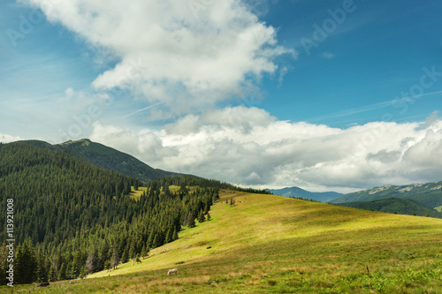 Summer landscape in Carpathian mountains and the blue sky with clouds