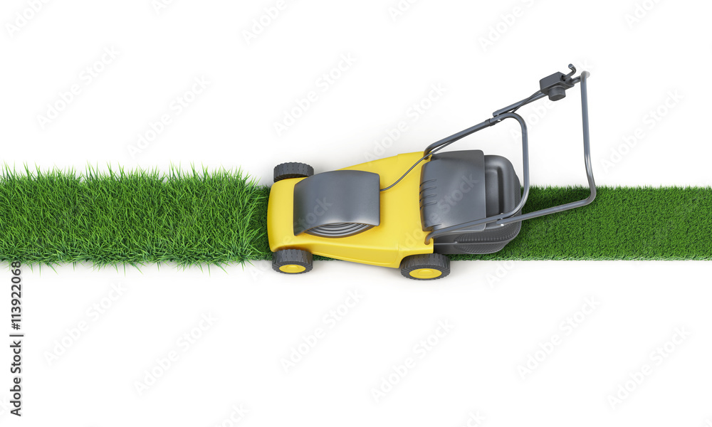 Lawn Mower Cutting Grass Isolated On White Background. Top View. Electric Lawn Mower. 3D Render Image Stock Illustration | Adobe Stock