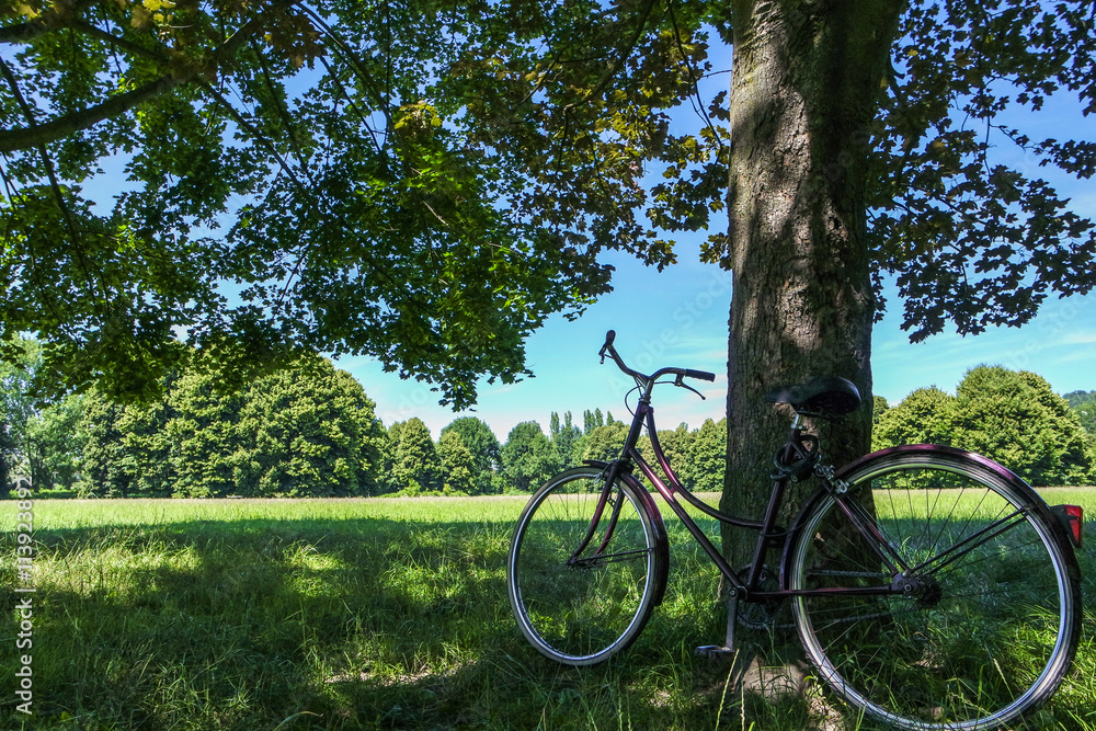 Fototapeta premium Bici e relax