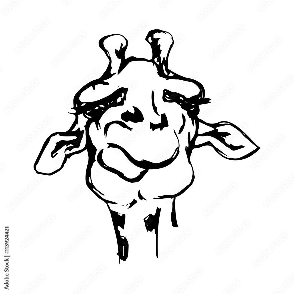 Fototapeta premium The head of a giraffe 2