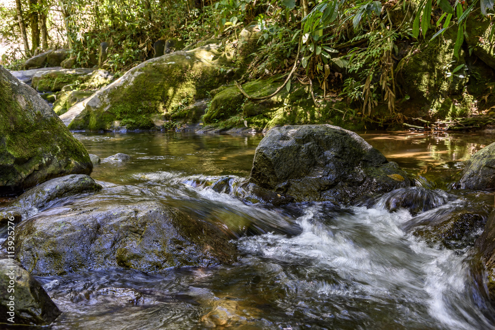 River running through the rocks and the rainforest of the national park of Itatiaia River running through the rocks and the rainforest of the national park of Itatiaia