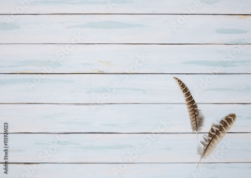 Bird feather border - Pheasant feathers arranged on a white painted wooden table top background to form a page border