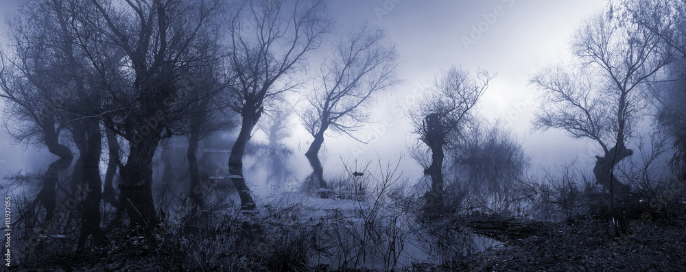 Fototapeta premium Przerażający krajobraz pokazujący mgliste ciemne bagno jesienią.