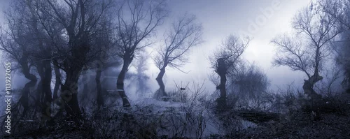 Obraz Przerażający krajobraz pokazujący mgliste ciemne bagna jesienią.