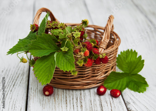 Basket with wild strawberries