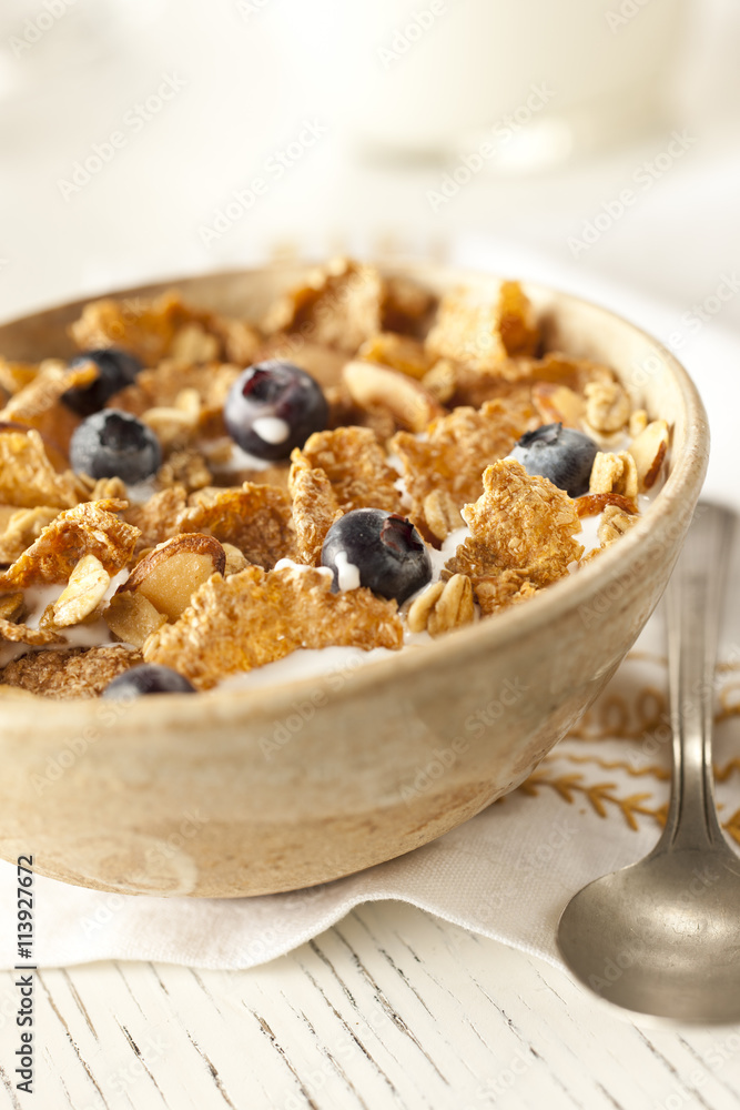 Close up of a bowl of breakfast cereal and fruit berries Close up of a bowl of breakfast cereal and fruit berries