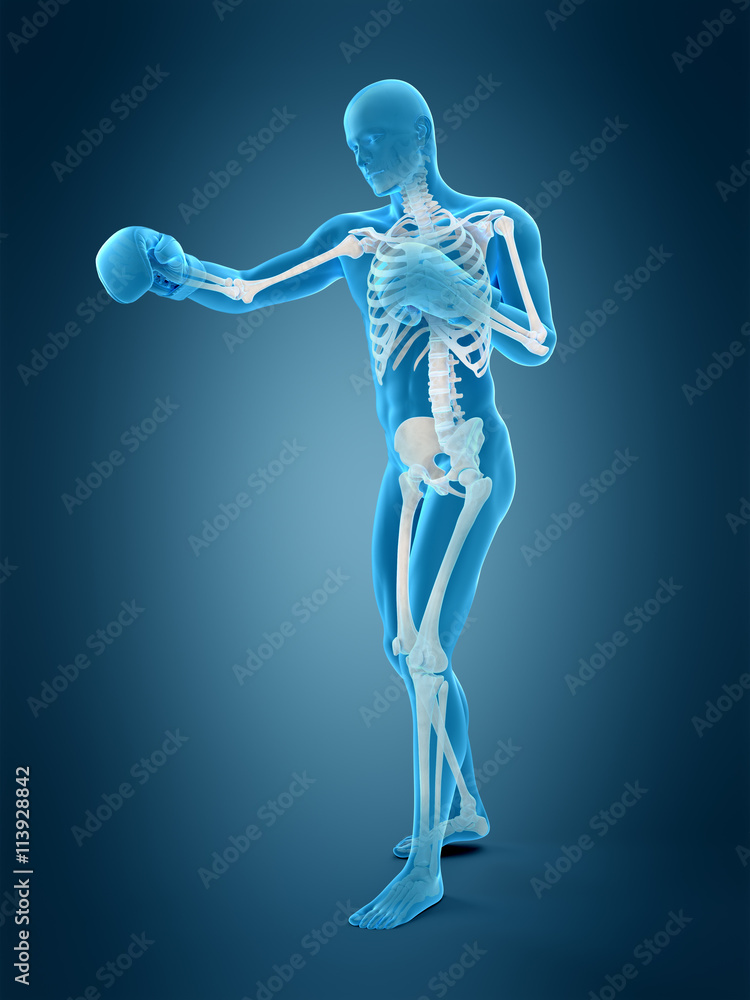 medically accurate 3d illustration of a boxing pose medically accurate 3d illustration of a boxing pose
