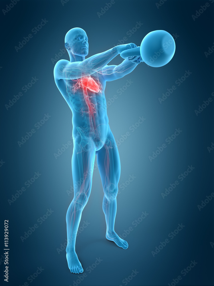 medically accurate 3d illustration of an athlete with kettle