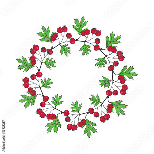Round wreath with hawthorn berry. Round frame.