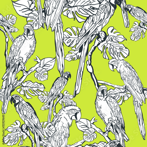 Vector seamless pattern with parrot birds. Hand drawn illustration of jungle.  White linear parrots on green background. Design for fashion textile summer print or wrapping.