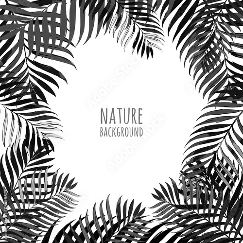 Vector frame with coconut palm leaves on white background. Floral background with tropical leaves. Abstract black and white nature frame. Design for banner, poster, invitation card. 