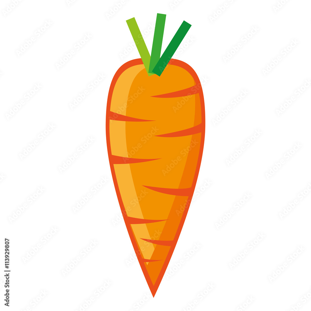 orange carrot with green leaves front view over isolated background,vector illustration orange carrot with green leaves front view over isolated background,vector illustration