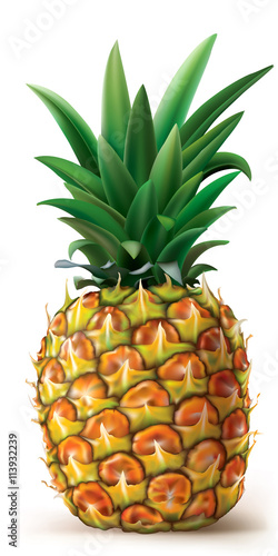 Pinapple