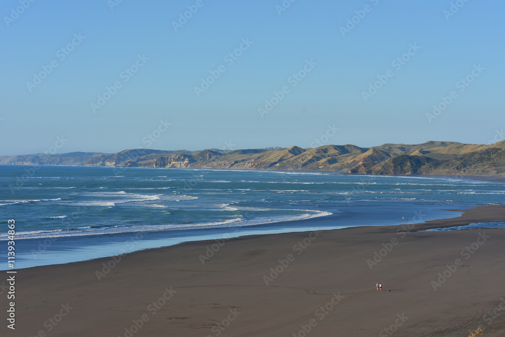 Rugged coast of Raglan with flat sandy beaches.