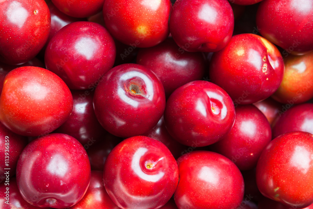 Fresh plums. Plums were cleaned to glossy look Fresh plums. Plums were cleaned to glossy look
