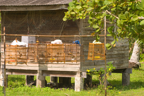 bird cage in the thai village photo